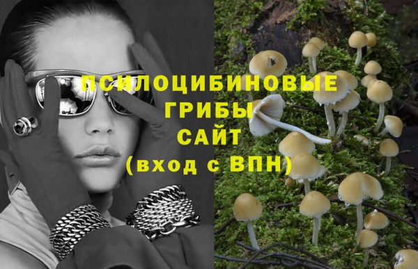 mdpv Нефтекумск