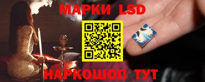 шишки Изобильный
