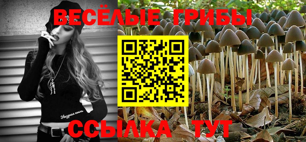 АМФЕТАМИН Кириши