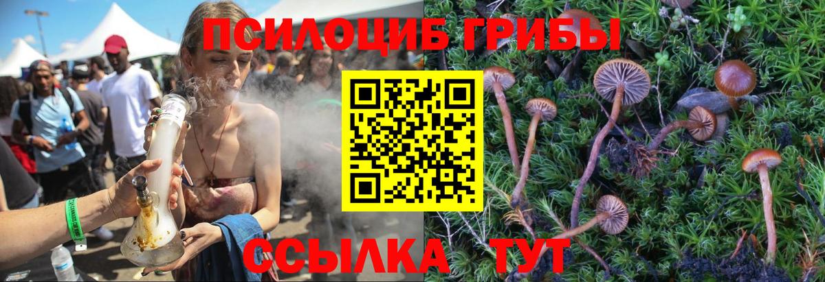 Псилоцибиновые грибы MAGIC MUSHROOMS Кириши