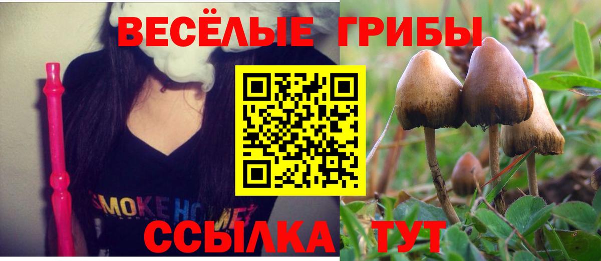 COCAIN  Кириши  A PVP СК кристаллы  ГАШ  ГАШИШ  Меф МЯУ МЯУ кристаллы  Вход с VPN  Каннабис 