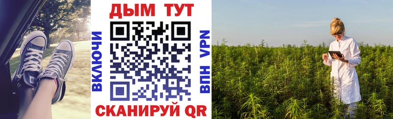 купить наркоту  Кириши  Бошки Шишки VHQ 